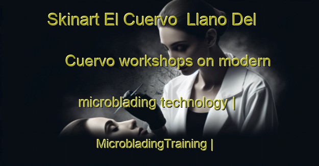 Skinart El Cuervo  Llano Del Cuervo workshops on modern microblading technology | MicrobladingTraining | MicrobladingClasses | SkinartTraining-Mexico